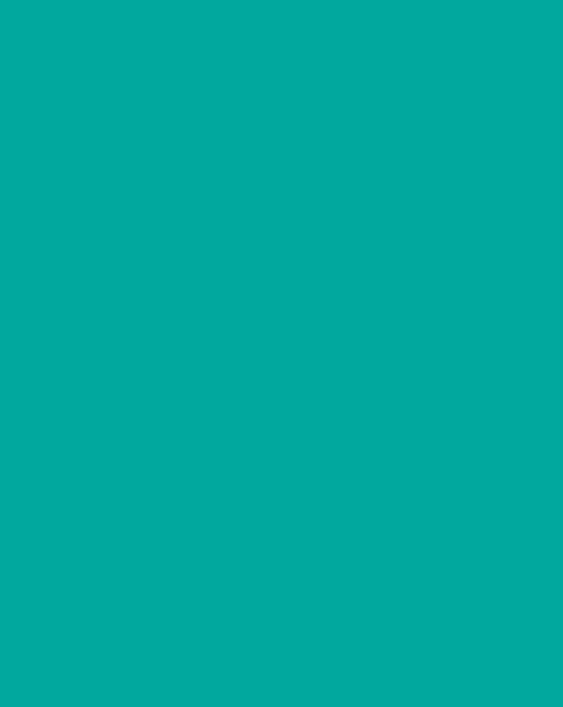 TRIV08-0008_5