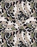 BLREG2455-2455_5