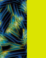 TNMAST241713-241713_5