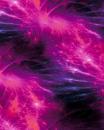 SO2413-2413_5