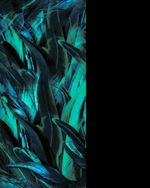 BER12418-12418_5