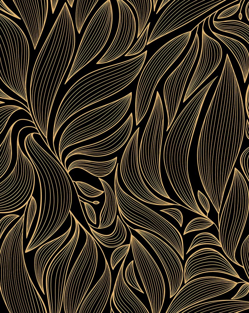 BLDQ2468-2468_5