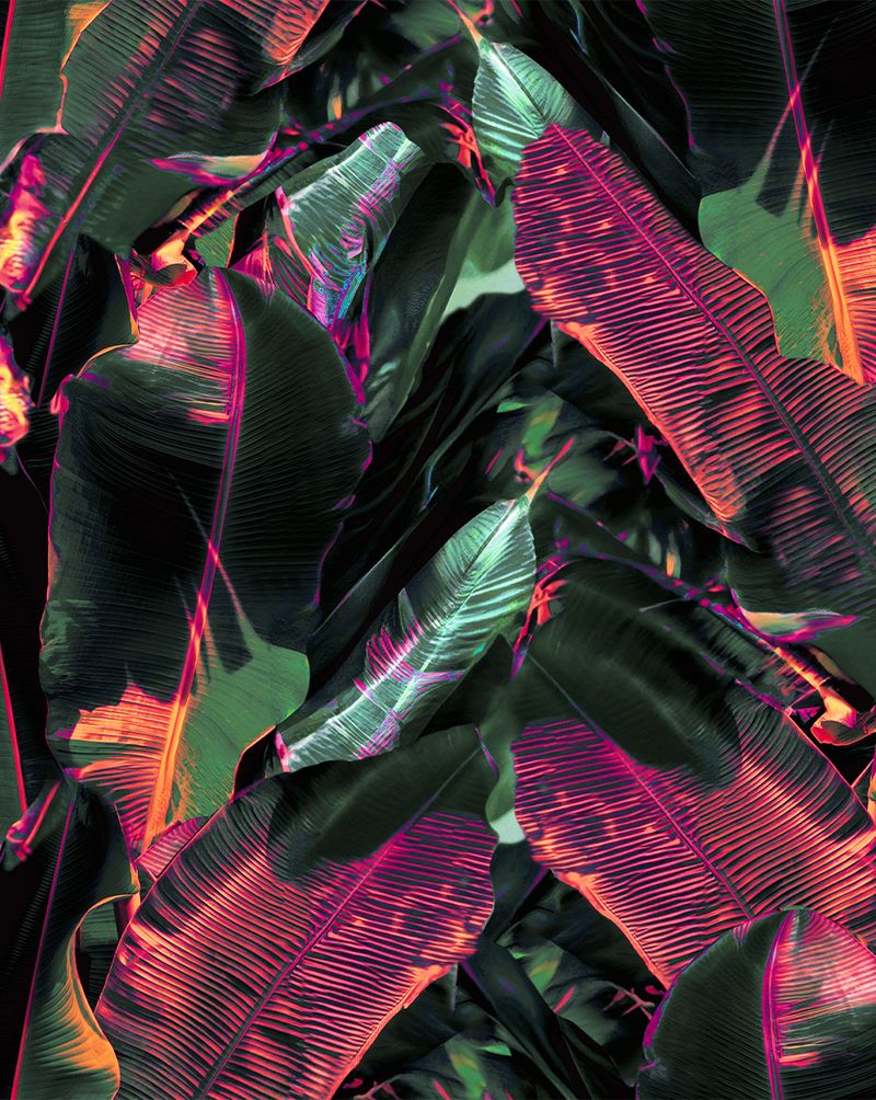 KIMO2461-2461_5