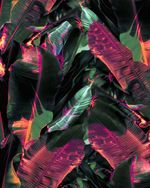 CFRAN2461-2461_5