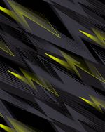 TRAJI4FAST2489-2489_5