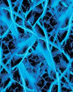 MTRAD2505-2505_5