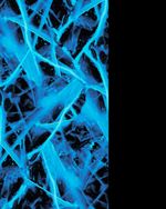 BER12505-12505_5