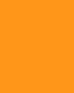 BLFRU13-0013_5