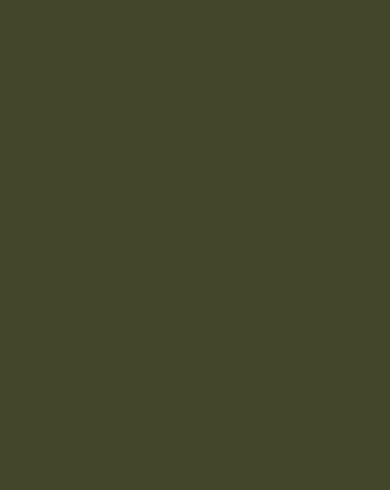 BLREGSIM88-0088_5
