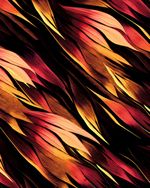 CWIDE2552-2552_5