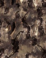 KIMO15-0015_5.jpg