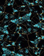 TNMAST25071-25071_5