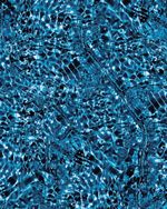 BERI4FAST2582-2582_5