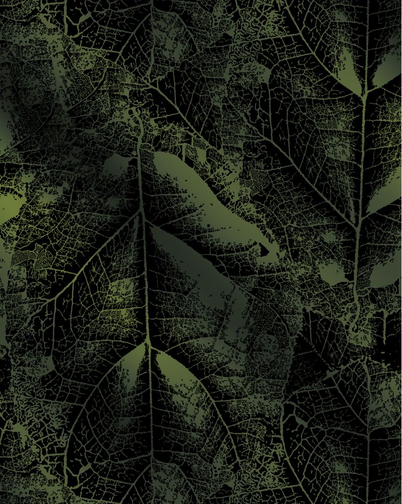 VMDTRAN2559-2559_5