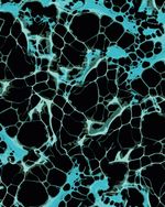 MSOL2518-2518_5.jpg