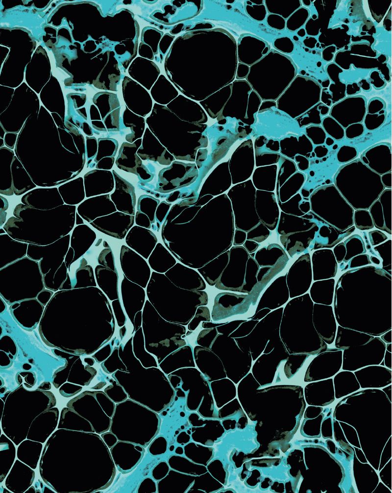 MSOL2518-2518_5.jpg