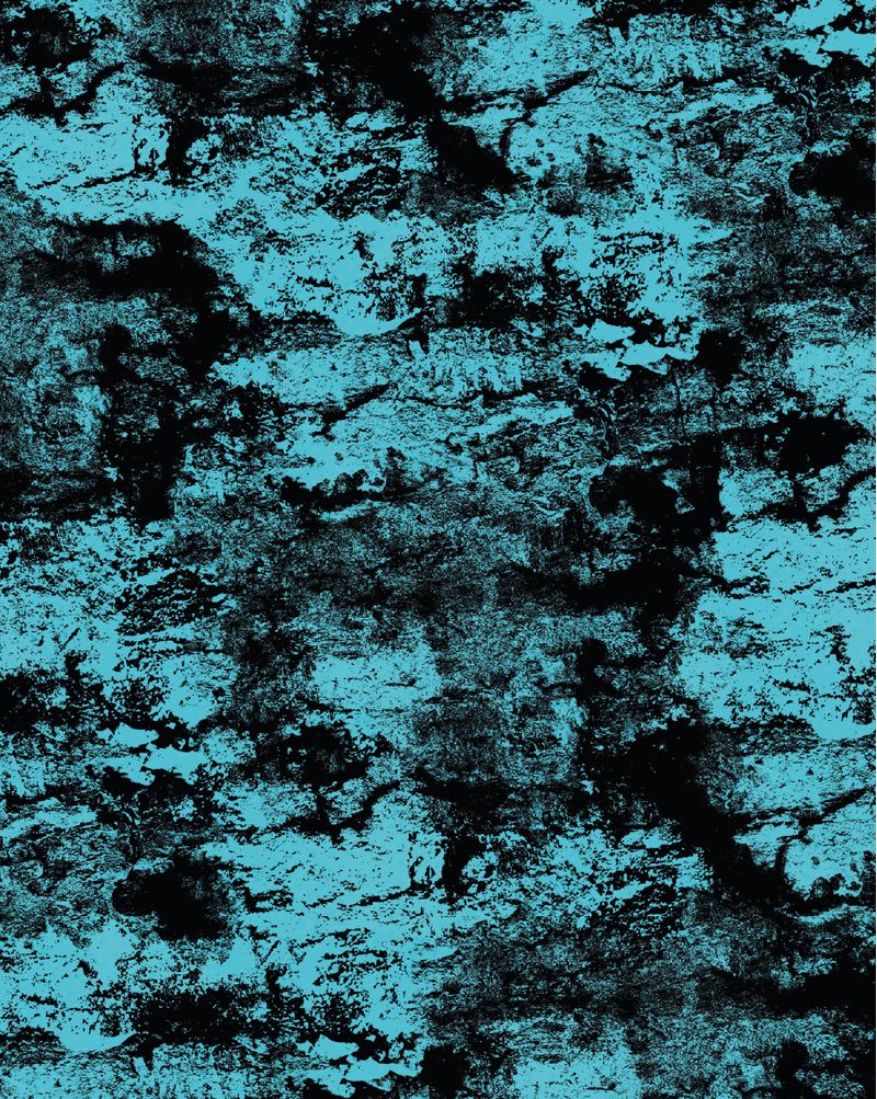 BER4FAST2583-2583_5.jpg